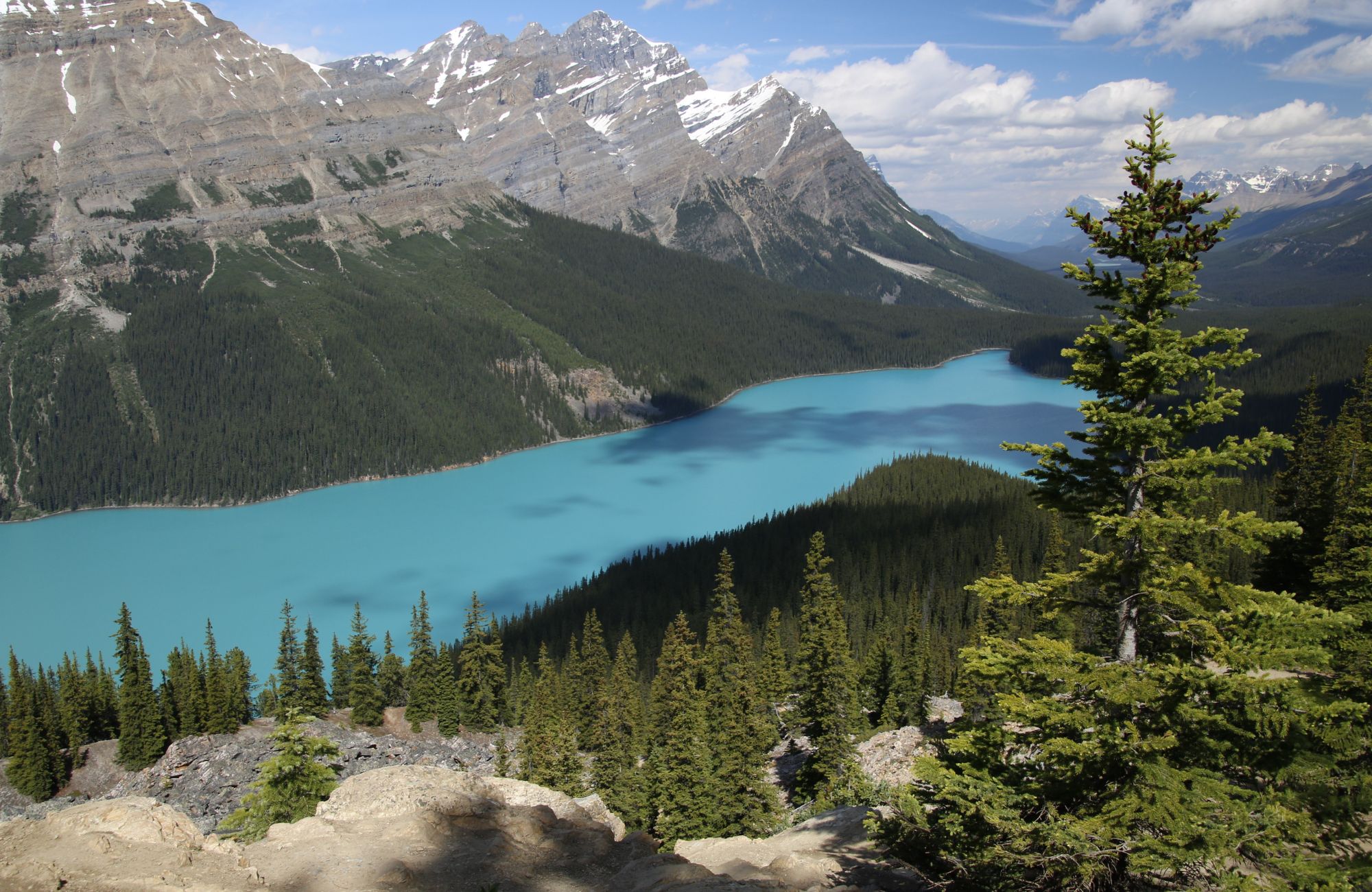 peyto lake self drive